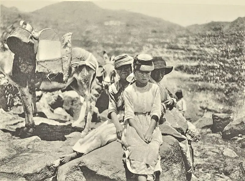  Niños de Tenerife en el camino de Los Campos.