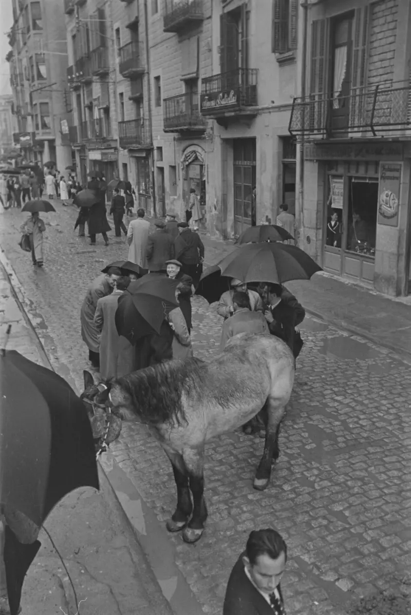 Compraventa de caballos