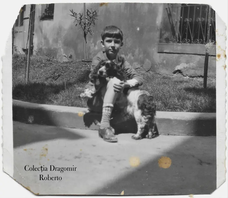 un băiețel și cățelul său