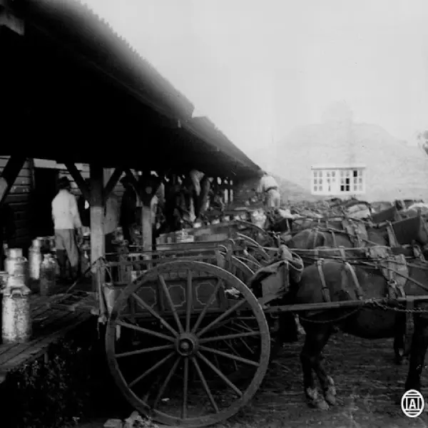 Concentración de carros