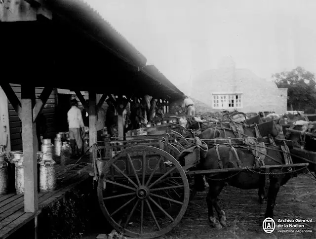 Concentración de carros