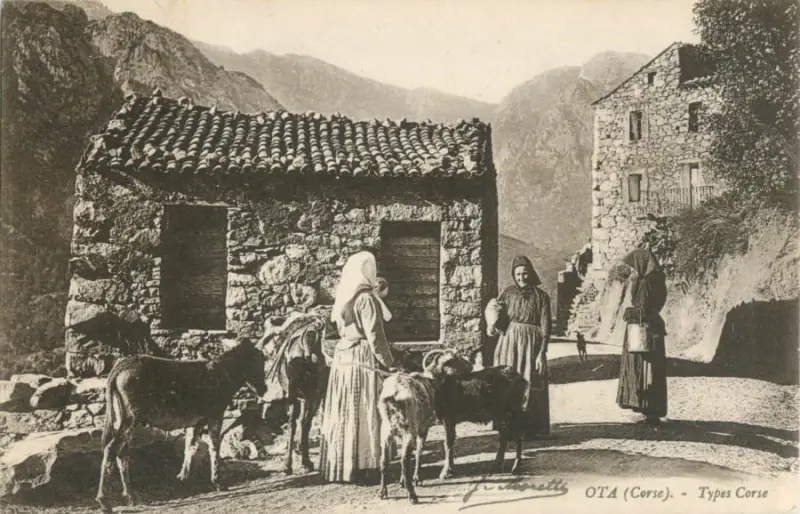 TYPES CORSE