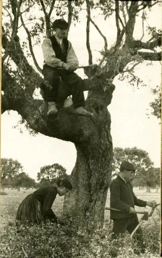 Familia haciendo cisco