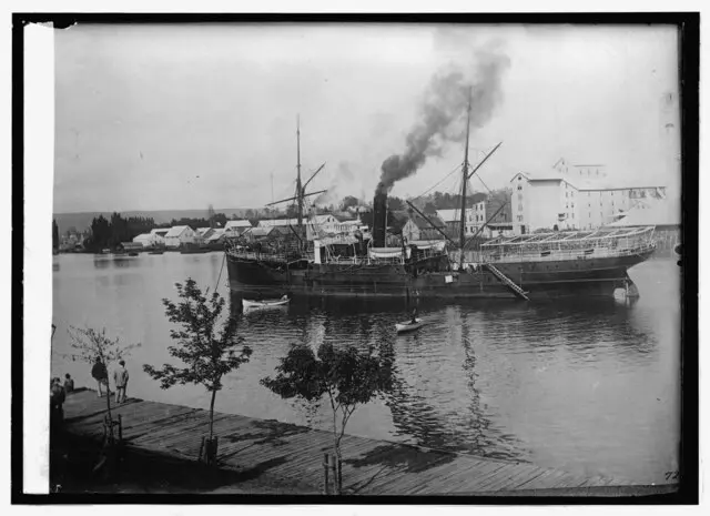 Puerto de Valdivia y sus casas ribereñas 