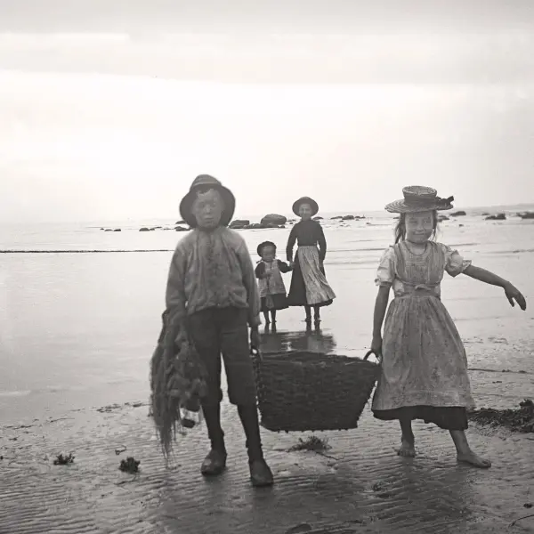 Kids gathering seaweed 