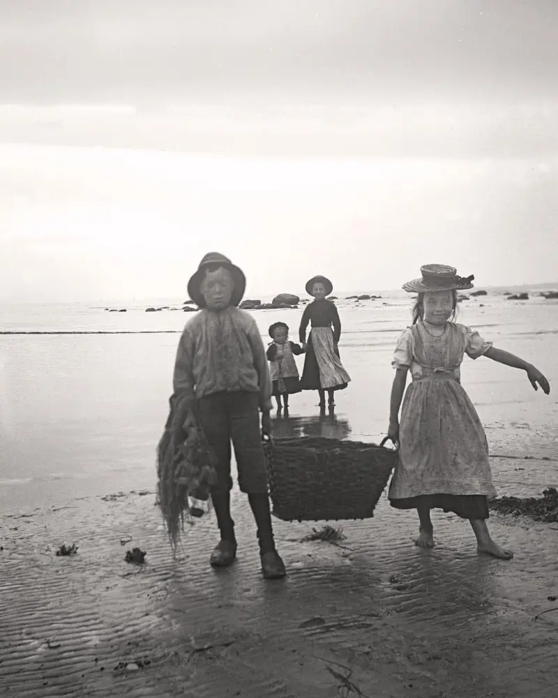 Kids gathering seaweed 
