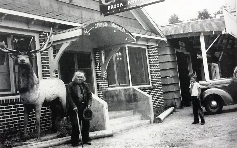Brook Haynes Cafe