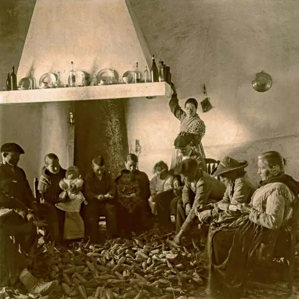 Familia mondando las mazorcas de maíz.