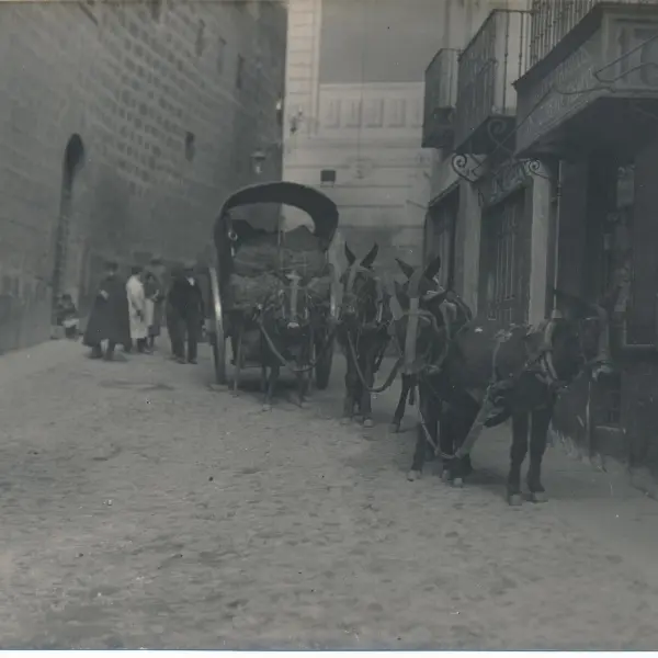 Tienda de ultramarinos