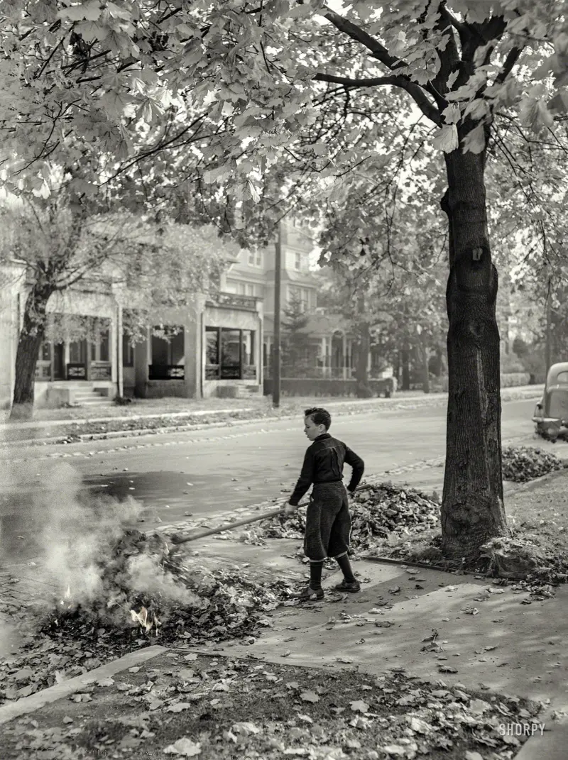 Burning fallen leaves