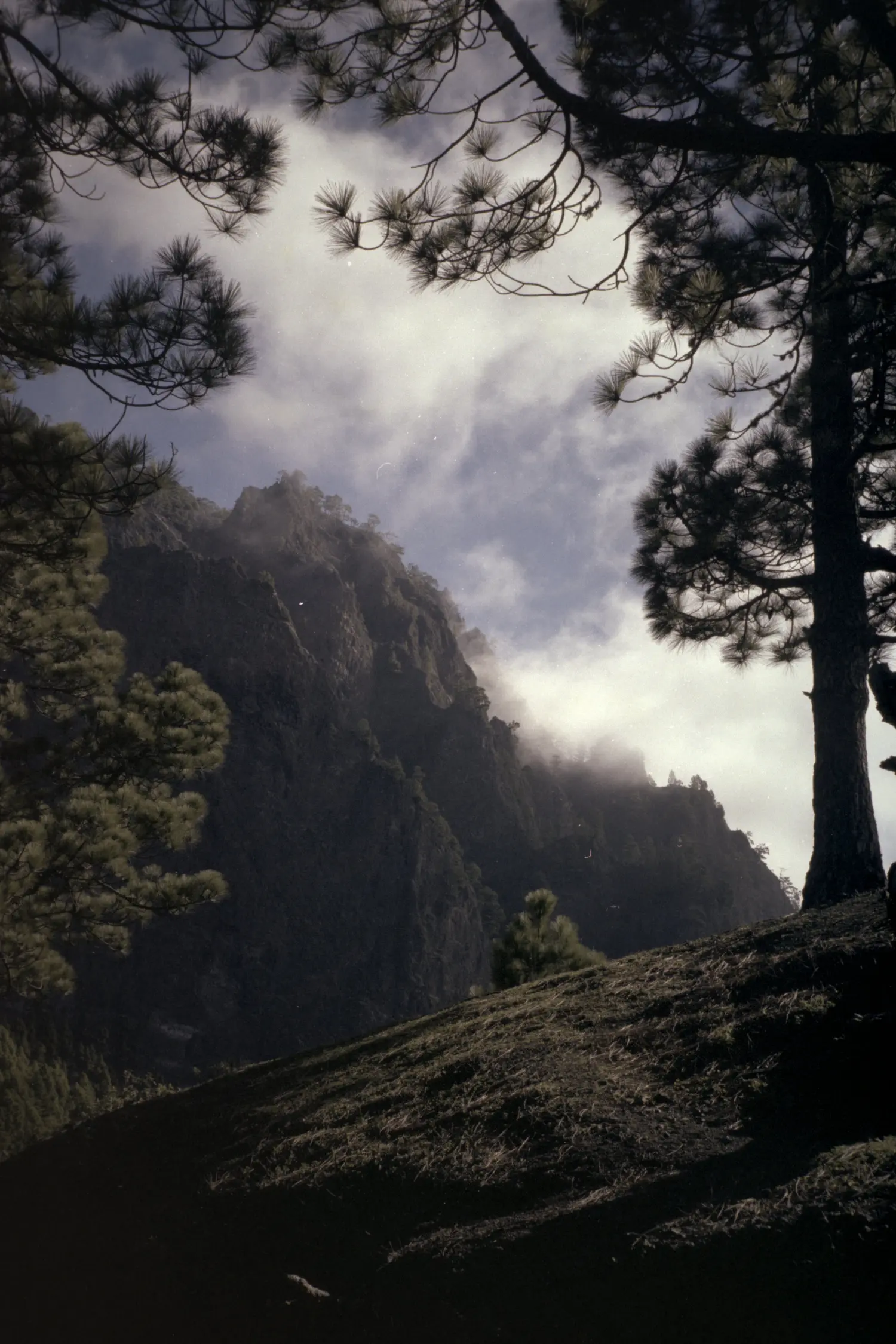 Parque Nacional Caldera de Taburiente