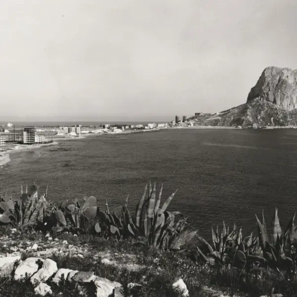 Vista panorámica de la bahía