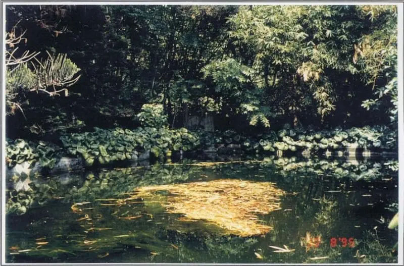 Antiguo Hotel Florida