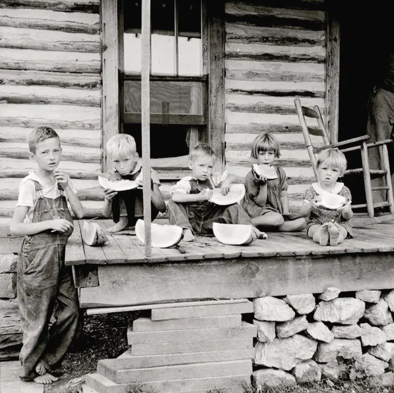 watermelon on a hot summer day