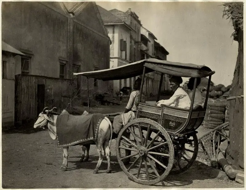 INDIA FRITH - HACKNEY