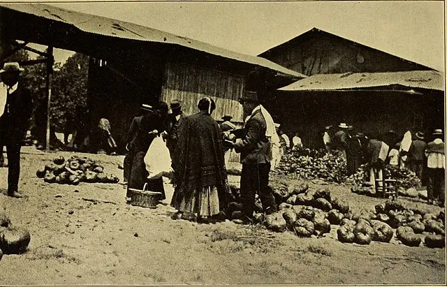 Mercado popular – Trabajo, intercambio y vida cotidiana