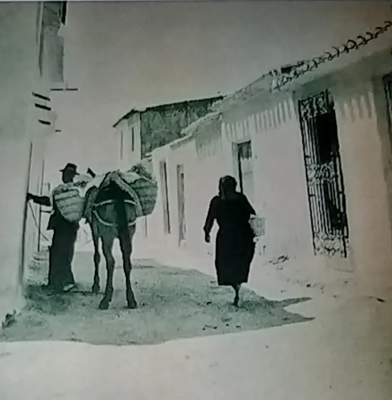 Hombre con su mulo y mujer subiendo la cuesta.