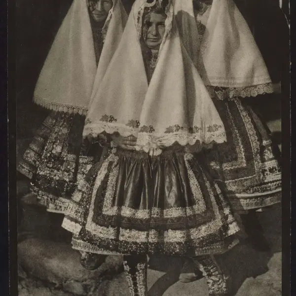 Lagarteranas