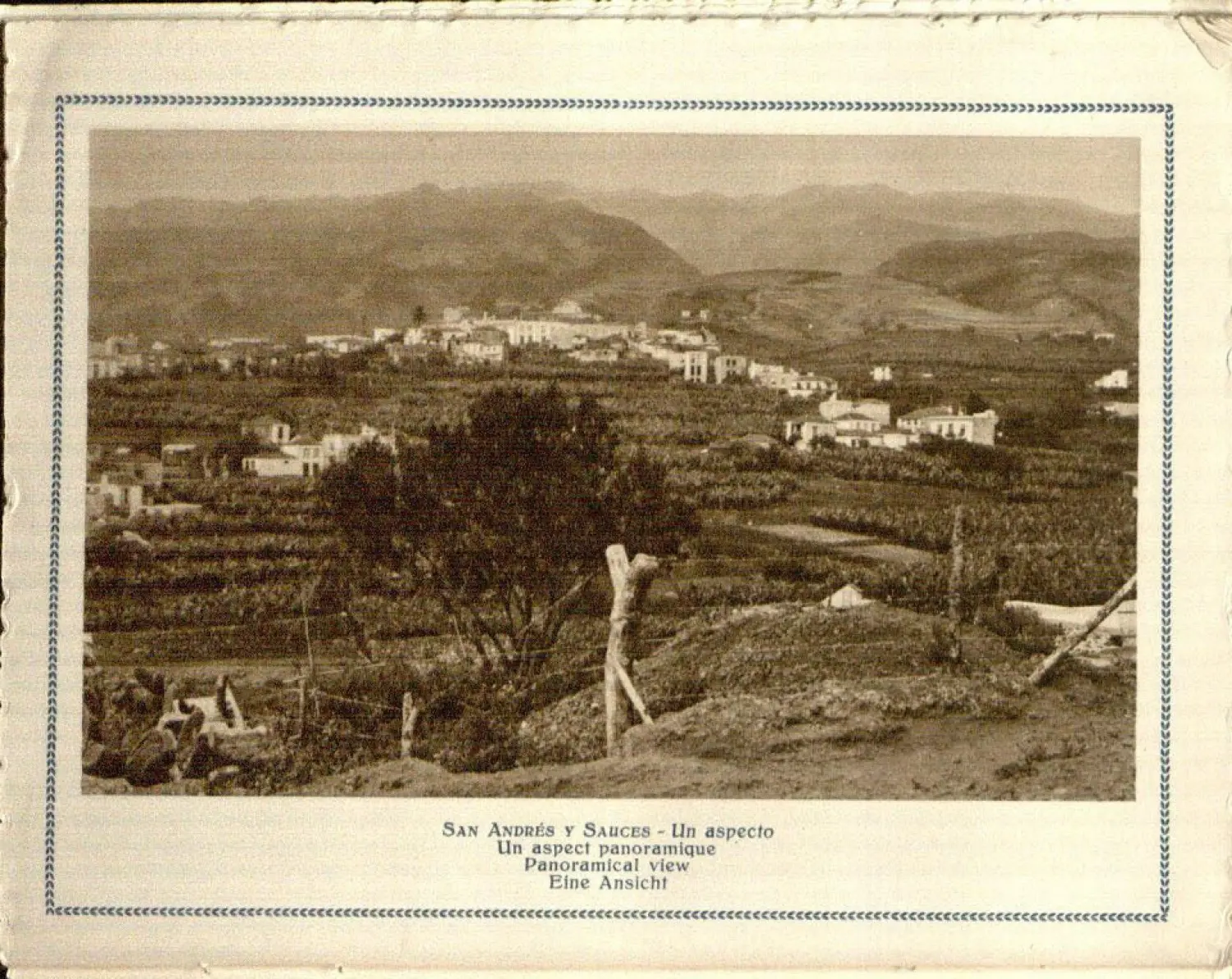 San Andrés y Sauces.