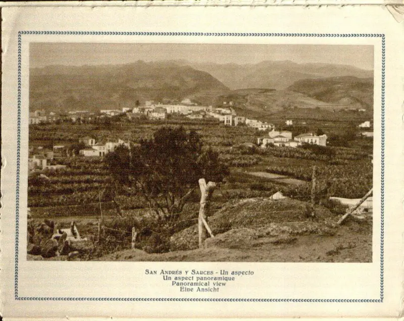 San Andrés y Sauces.