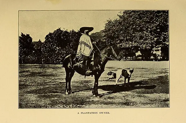 El patrón y la tierra