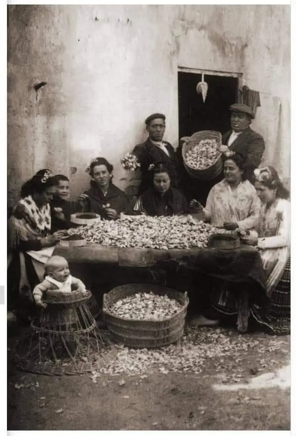 La família Usarillo