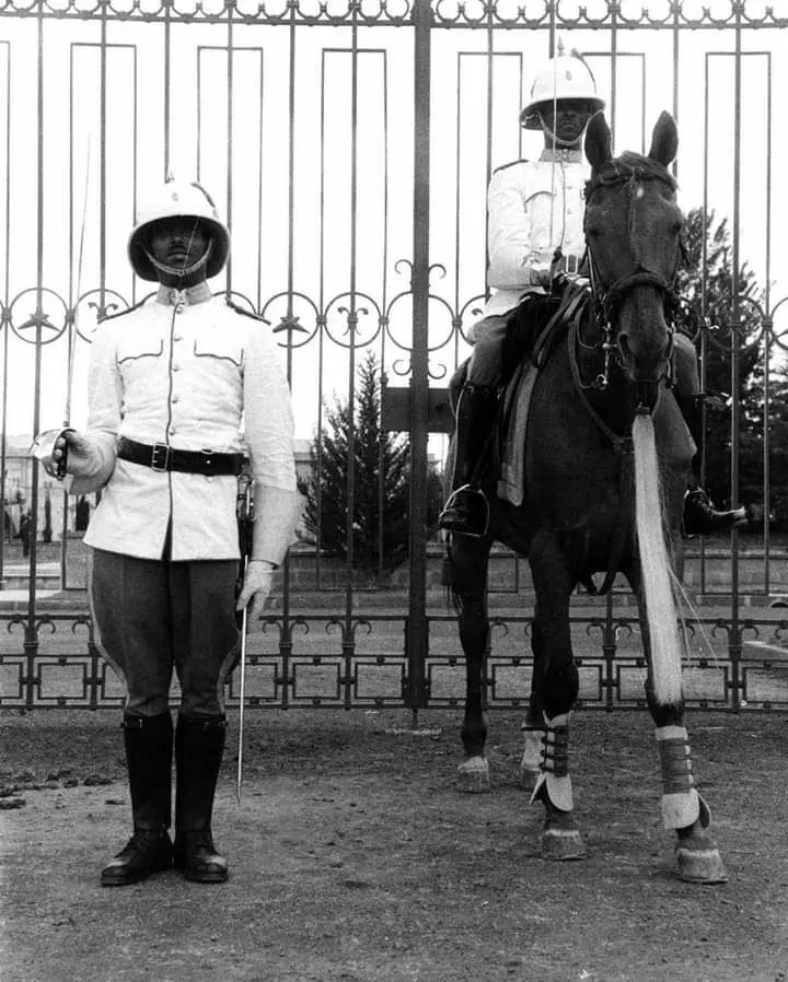 Guards Imperial Palace
