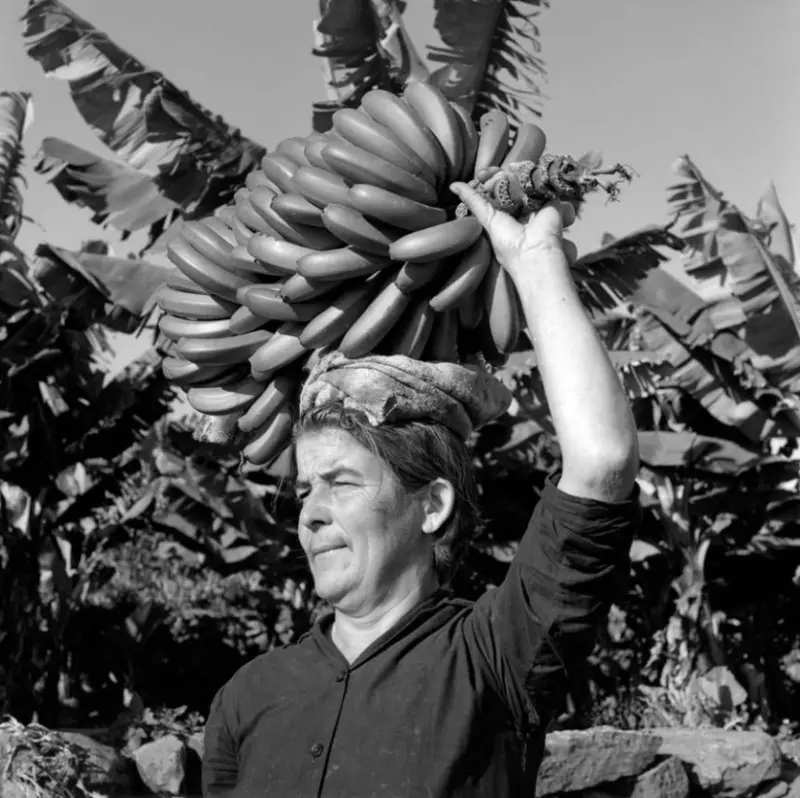 Doña Maria de las lomadas.