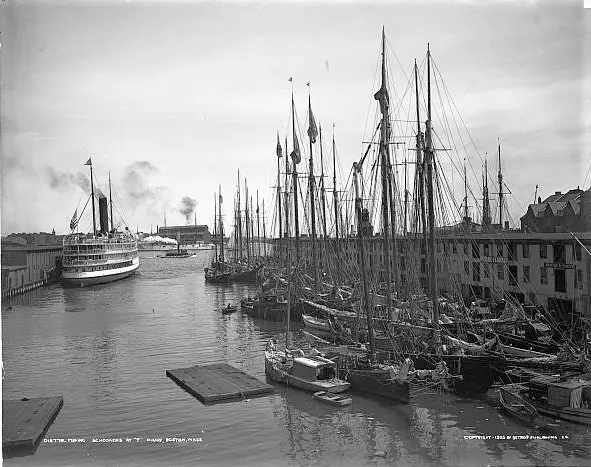 Schooners at T wharf