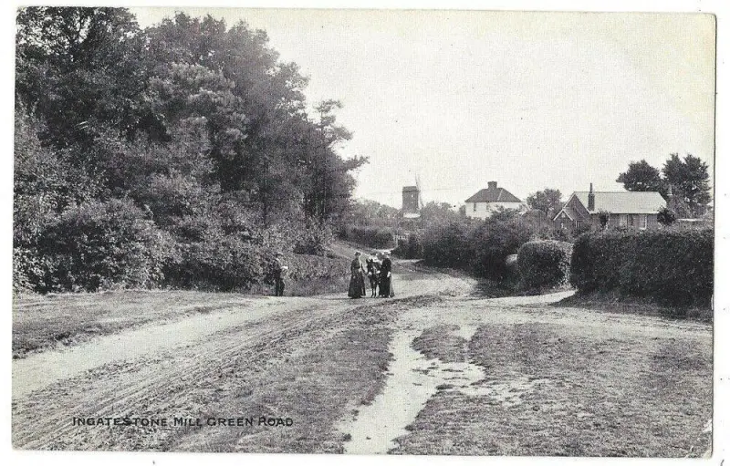 Looking towards the windmill