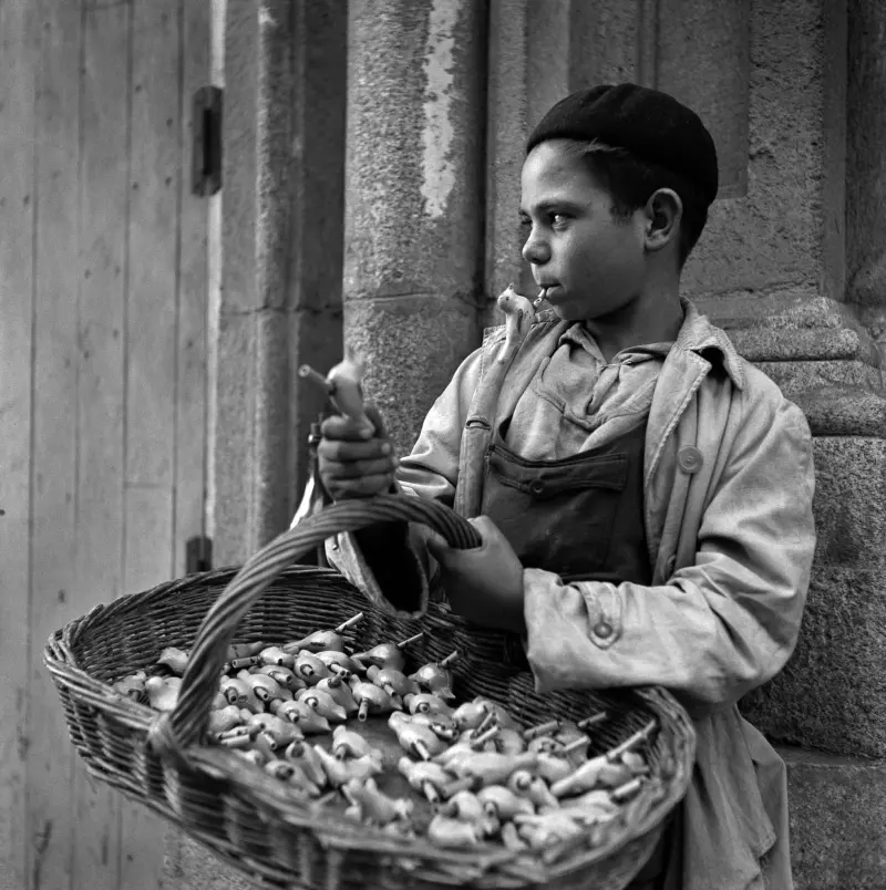 VENDEDOR DE PAJAROS TRINADORES
