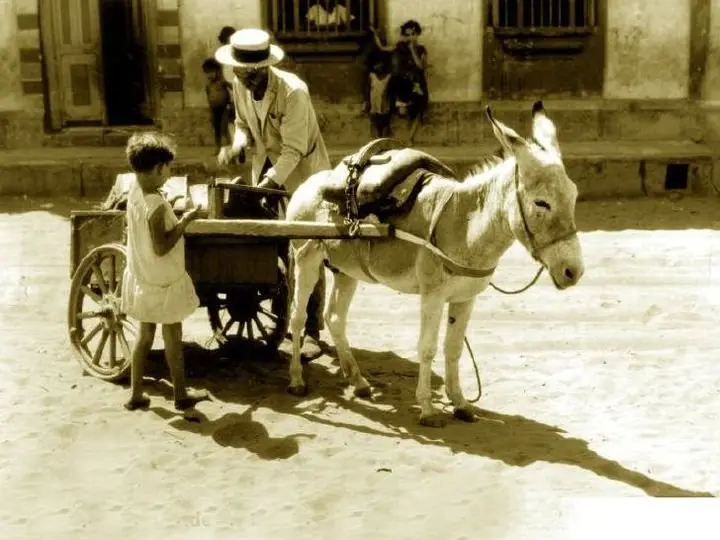 Vendedor burrero de dulces