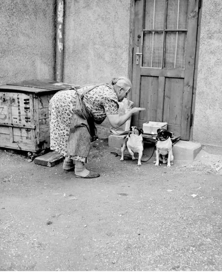 Grandma Scolds Her Pets