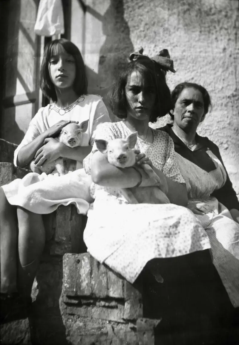 Niñas con lechones en Puertas de Cabrales