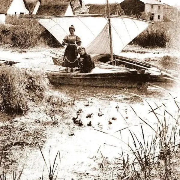 El Palmar 