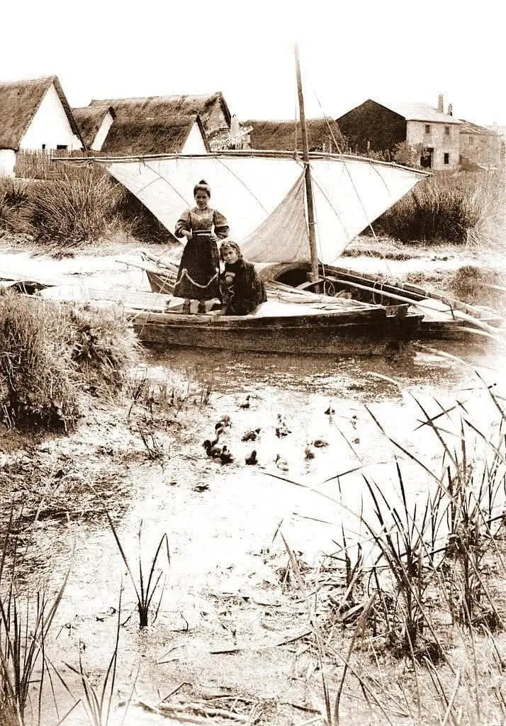 El Palmar 