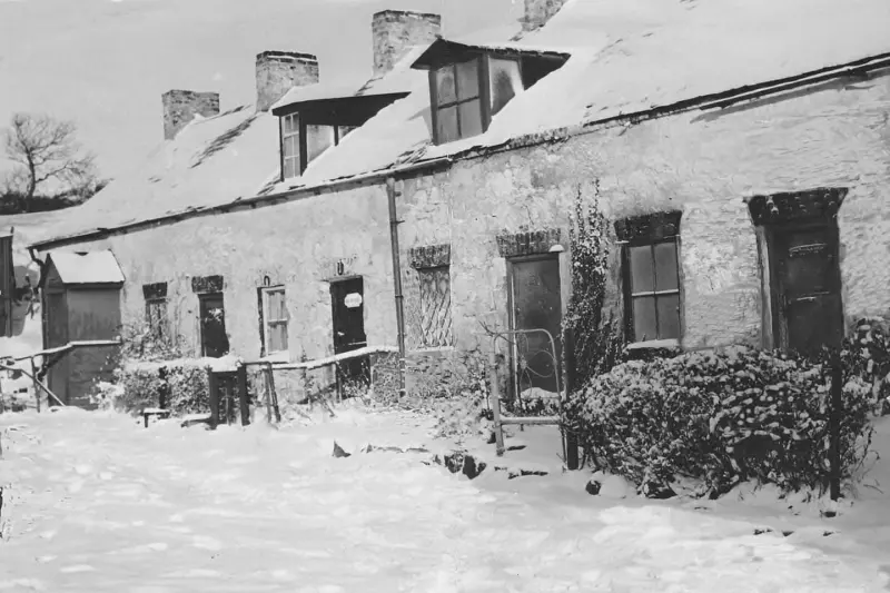 Cottages on the Upper Cavehill Road.