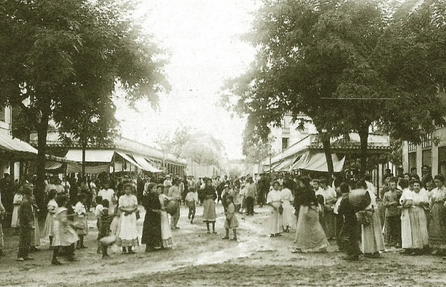 Plaza del mercado