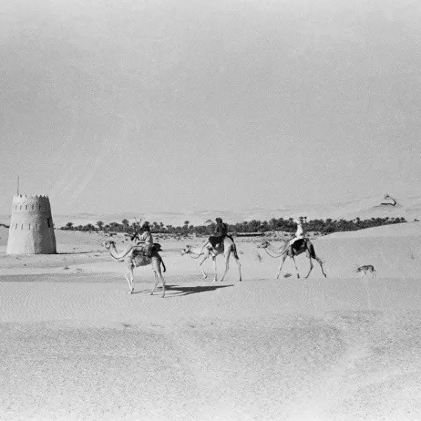 Liwa oasis