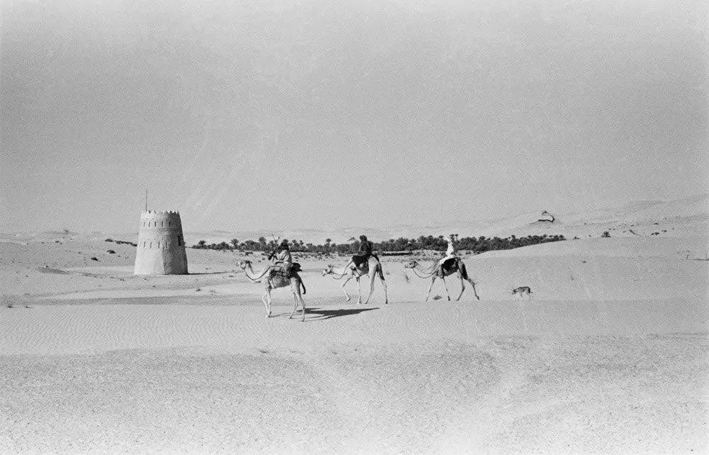Liwa oasis