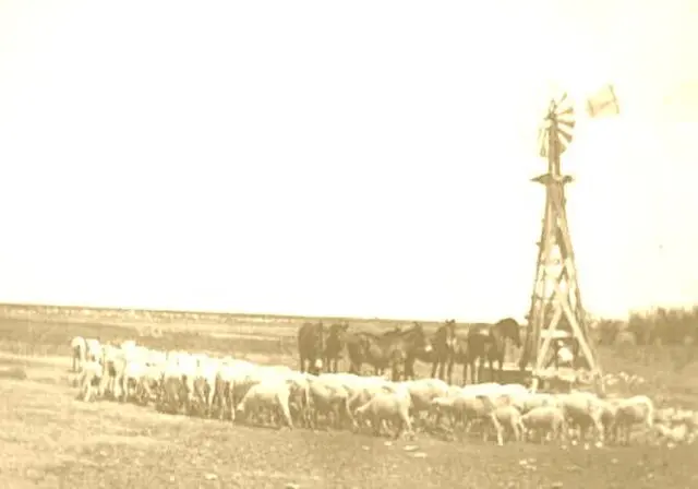 La vida al ritmo del campo