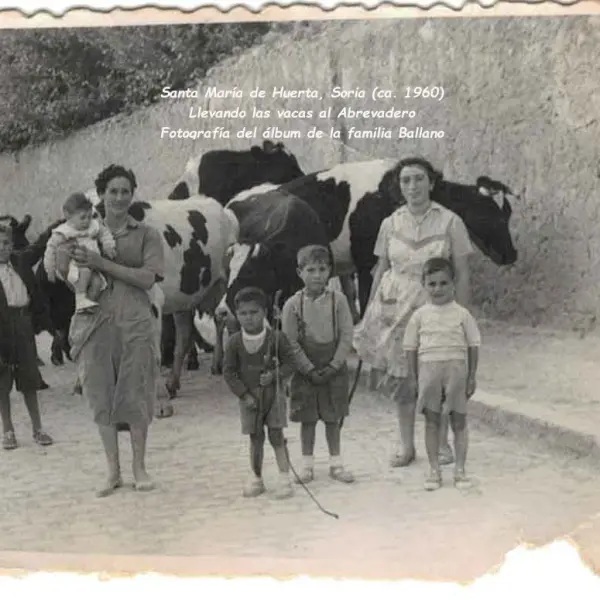 Llevando las vacas al abrevadero. 
