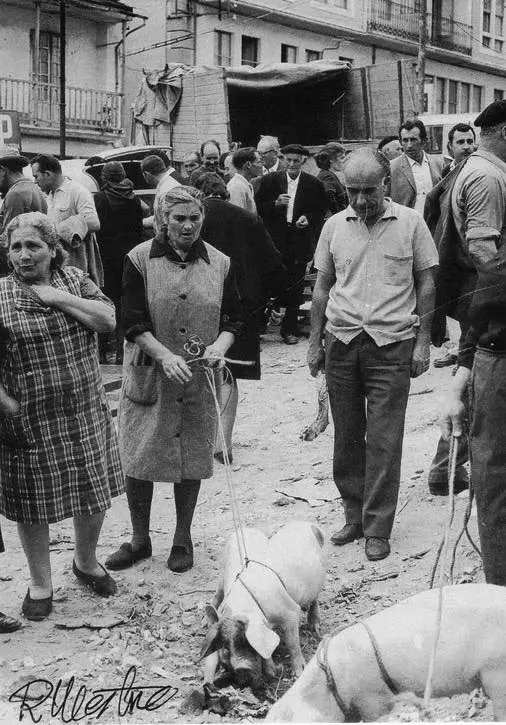 En la feria de ganado.