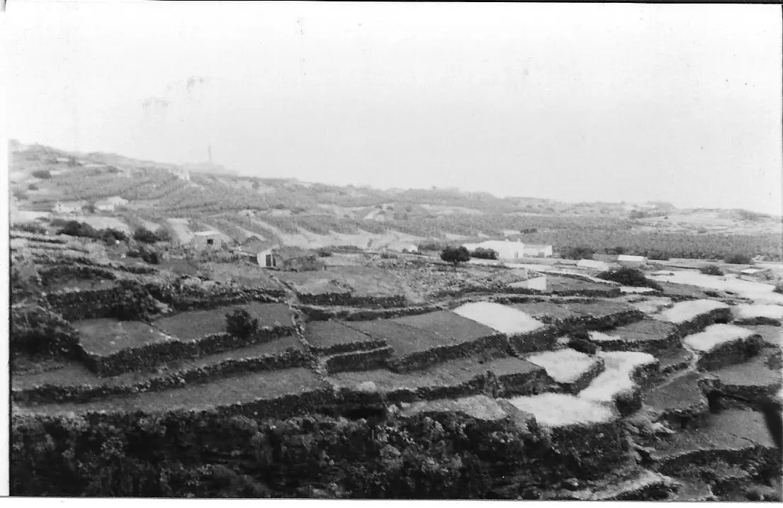 La Cadena - Barlovento