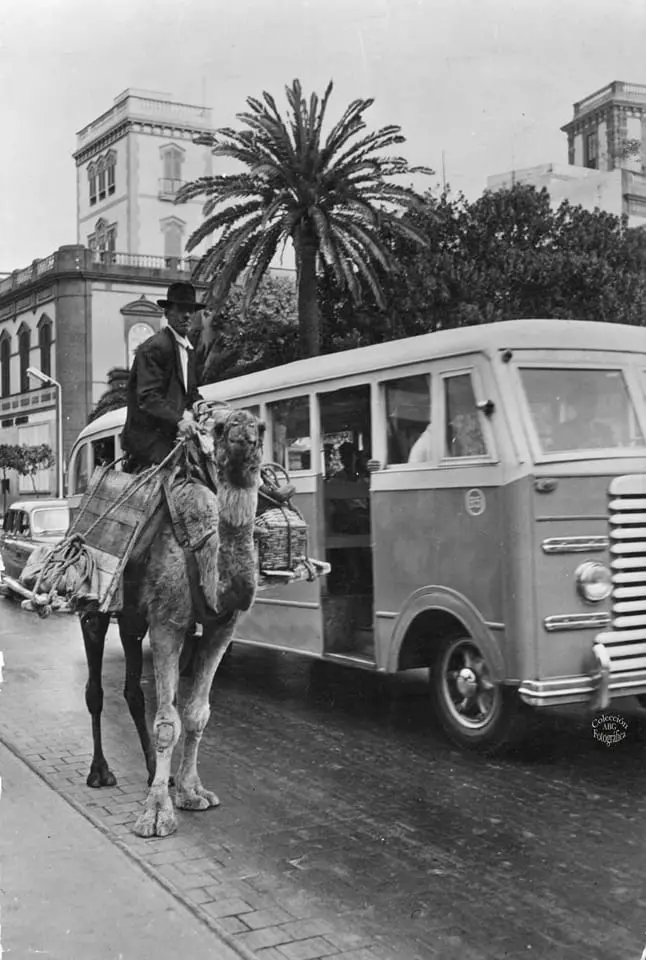 Guagua y señor en camello por el Puente de Piedra.