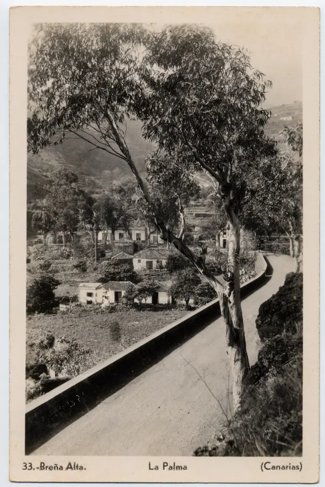 San Pedro