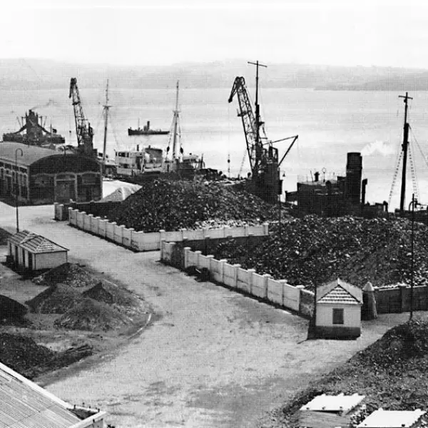 Muelle del carbon