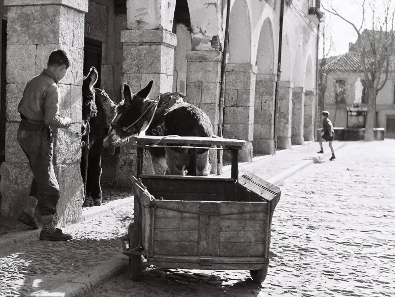 SOPORTALES DEL CAMPO DEL TRIGO