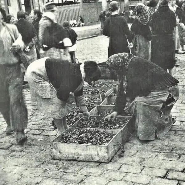 Vendedoras de percebes