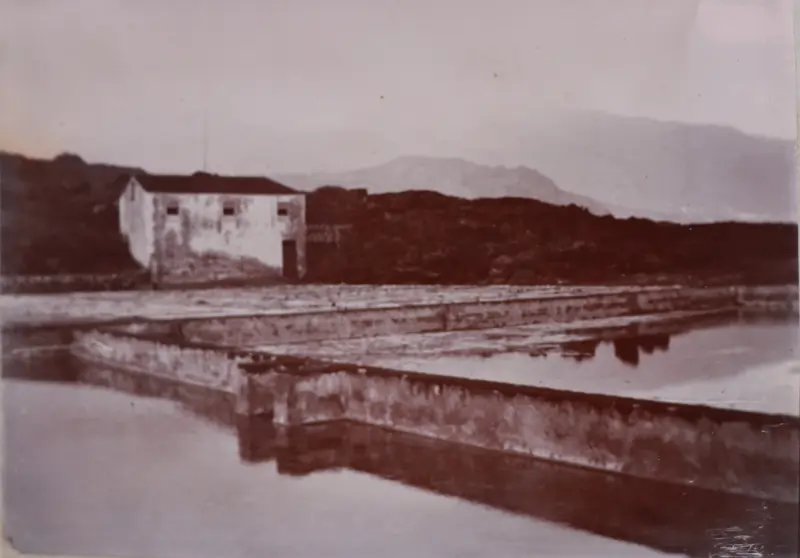 Salinas de Los Cancajos